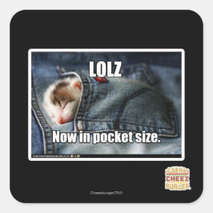 LOLZ Now in Pocket Size Square Sticker