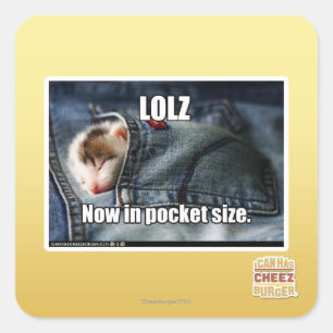 LOLZ Now in Pocket Size Square Sticker