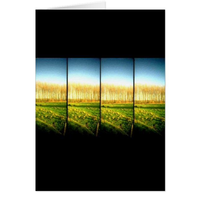 lomo landscape 2 (Front)