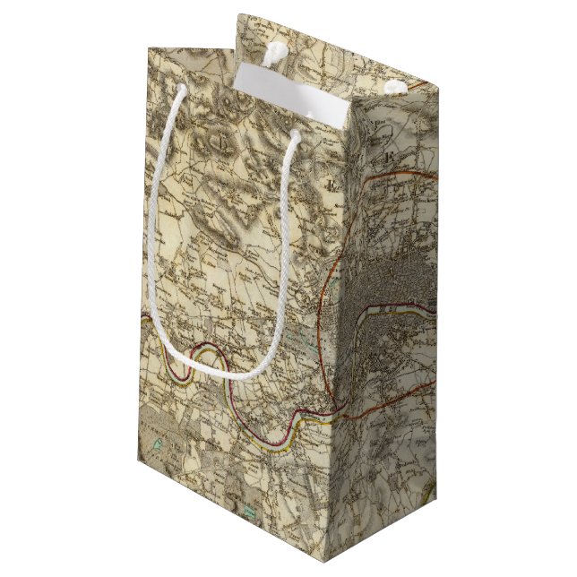 London environments small gift bag (Back Angled)