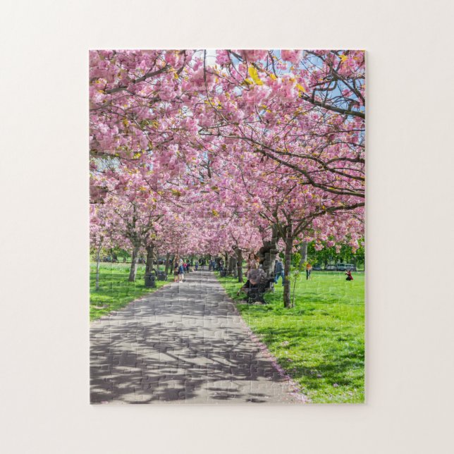 London Greenwich Park cherry blossom puzzle (Vertical)