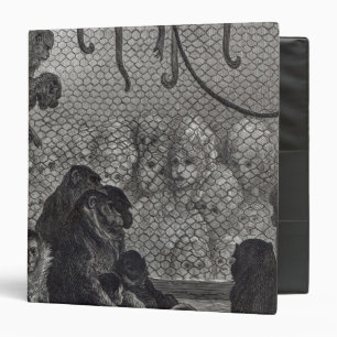 London' Monkeys Binder