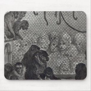 London' Monkeys Mouse Pad
