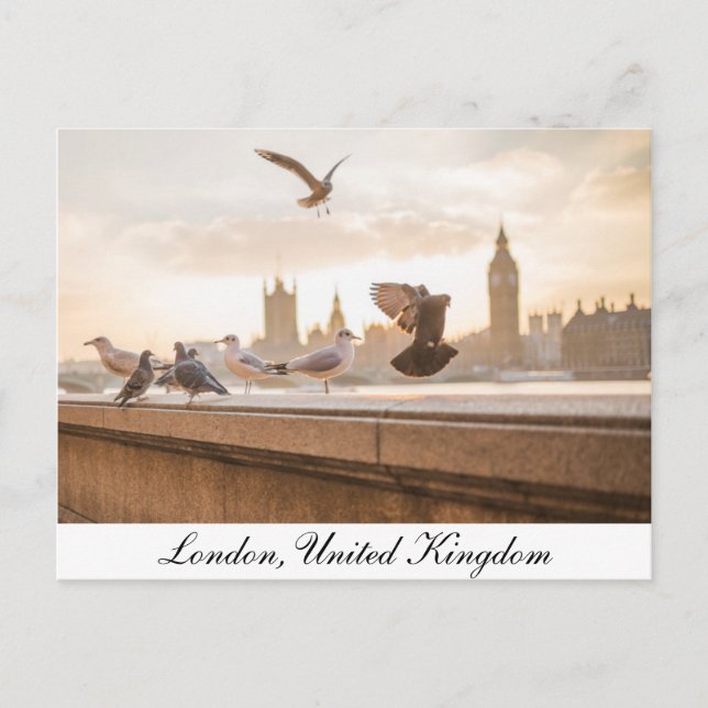 London, Parliament Postcard (Front)