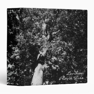 London Plane Tree (1.5in Ring) Binder
