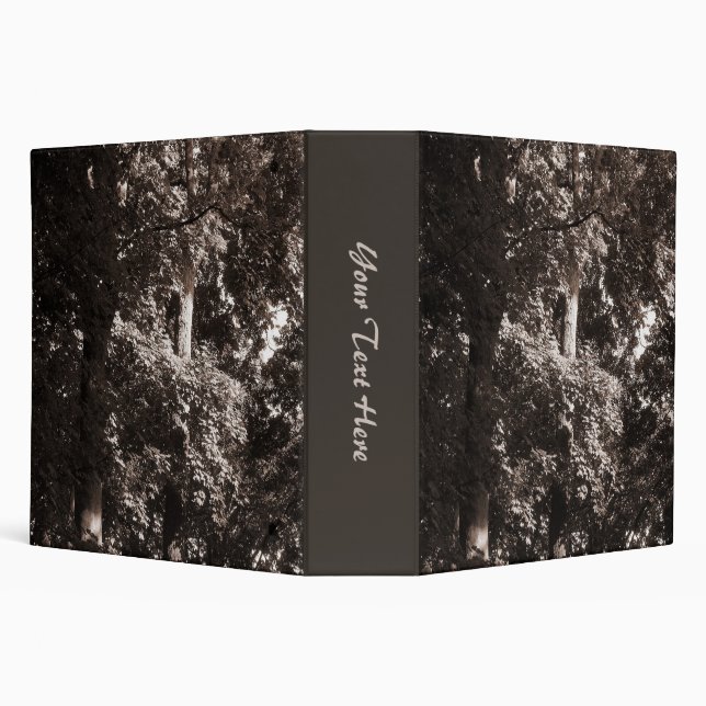 London Plane Tree (2.0in Ring) Binder (Background)