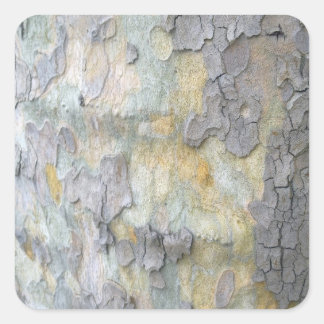 London Plane Tree Bark Sticker