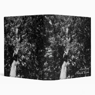 London Plane Tree Binder