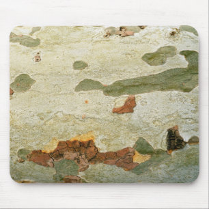 London plane tree wood bark nature plant texture p mouse pad