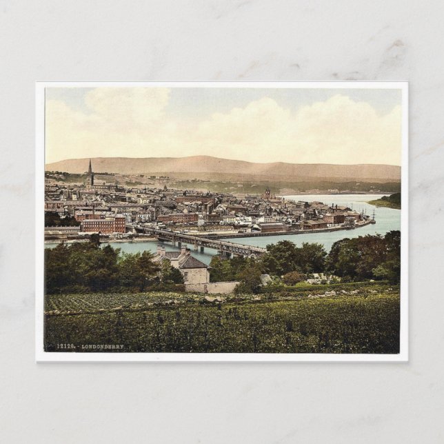 Londonderry. Co. Limerick, Ireland magnificent Pho Postcard (Front)