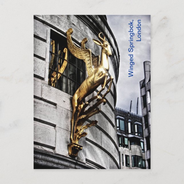 London's Winged Springbok Postcard (Front)