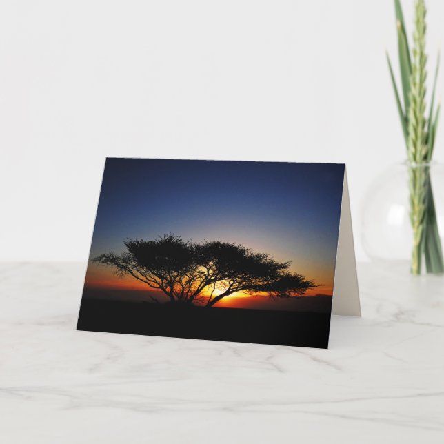 Lone Acacia at Fiery Red Sunrise, Blank Inside Card (Front)