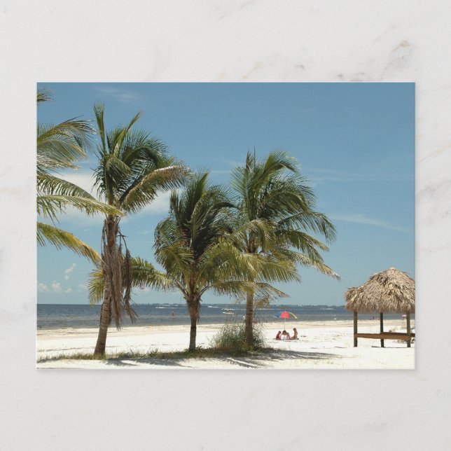 Lone Beach At Fort Myers Beach Florida Postcard (Front)