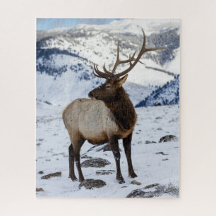 Lone Bull Elk in Snow Yellowstone National Park Jigsaw Puzzle