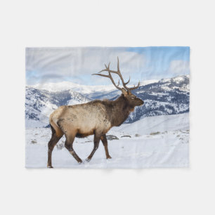 Lone Bull Elk Yellowstone National Park Fleece Blanket