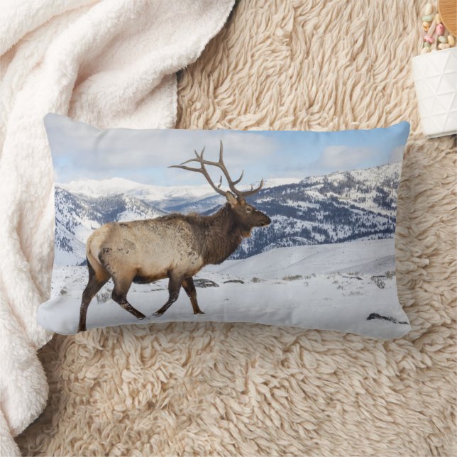 Lone Bull Elk | Yellowstone National Park Lumbar Pillow (Blanket)