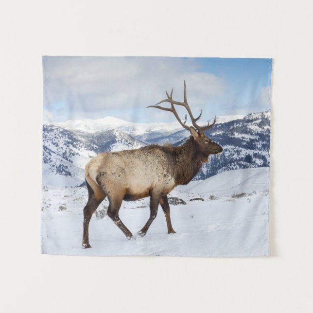 Lone Bull Elk | Yellowstone National Park Tapestry (Front (Horizontal))
