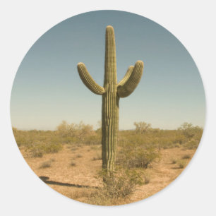 Lone Cactus Classic Round Sticker