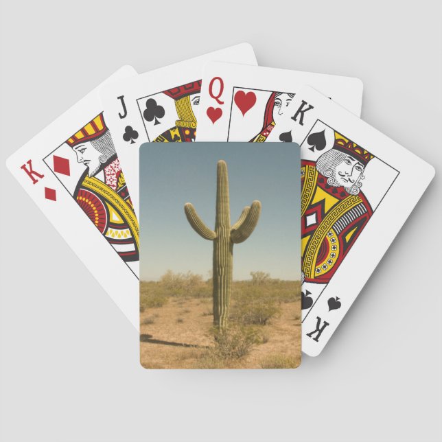 Lone Cactus Playing Cards (Back)