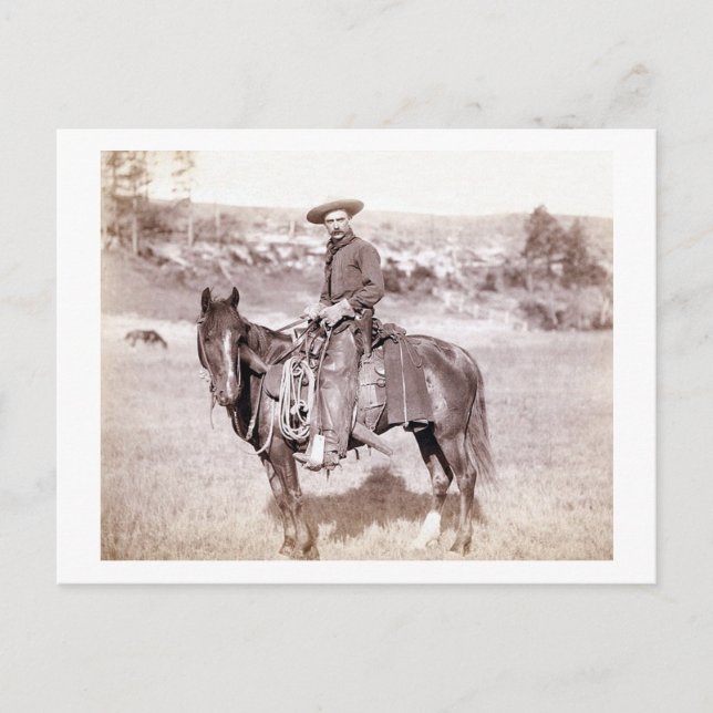 Lone Cowboy Postcard (Front)