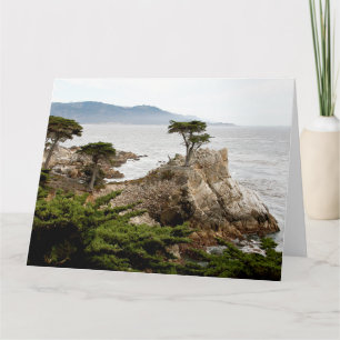 LONE CYPRESS Jumbo Greeting Card