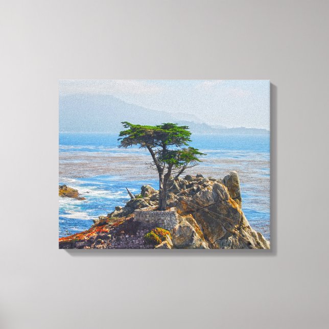 Lone Cypress, Monterey, California Canvas Print (Front)