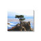 Lone Cypress, Monterey, California