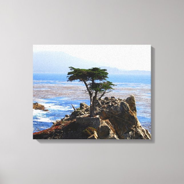 Lone Cypress, Monterey, California Canvas Print (Front)