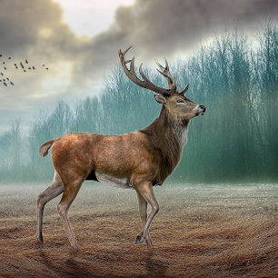 Lone Deer In Misty Forest    Throw Pillow