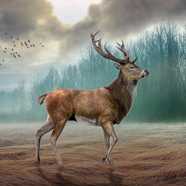 Lone Deer In Misty Forest      Tile (Creator Uploaded)