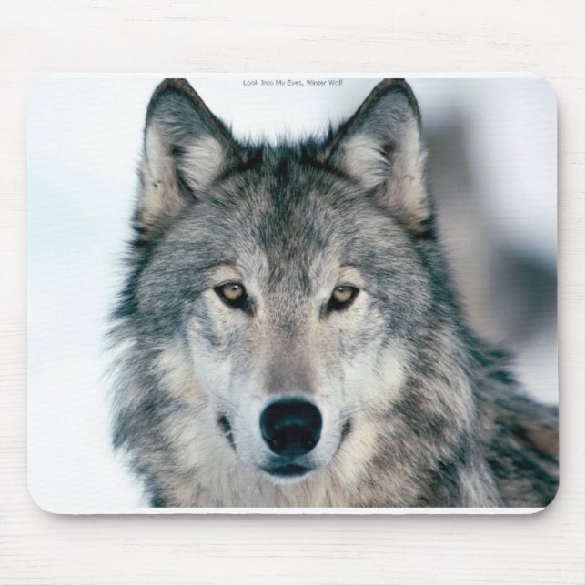 Lone grey wolf mousepad (Front)