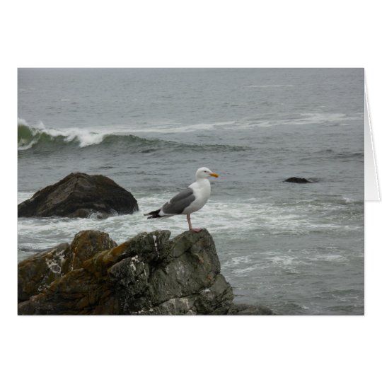 Lone gull card