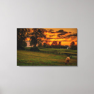 Lone horse at sunset canvas print