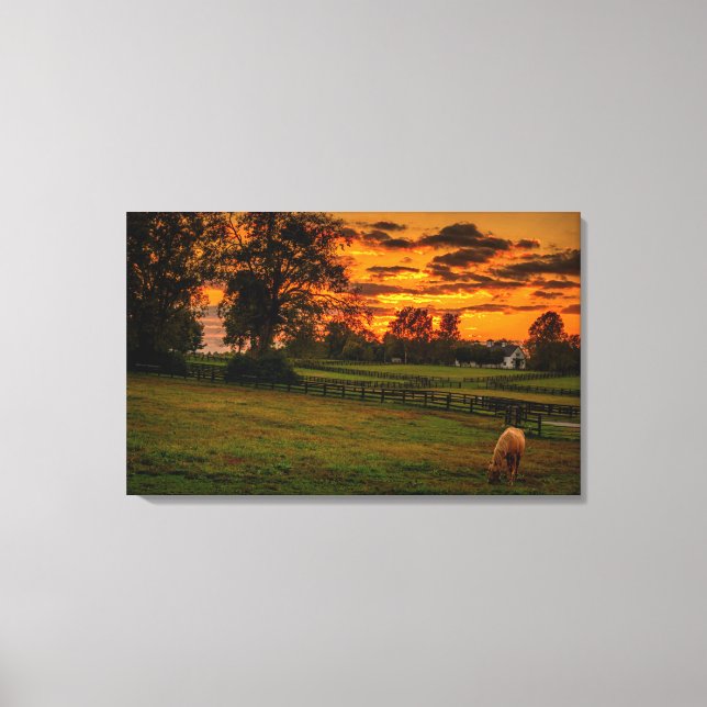 Lone horse at sunset canvas print (Front)