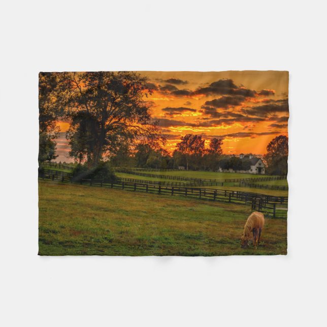Lone horse at sunset fleece blanket (Front (Horizontal))