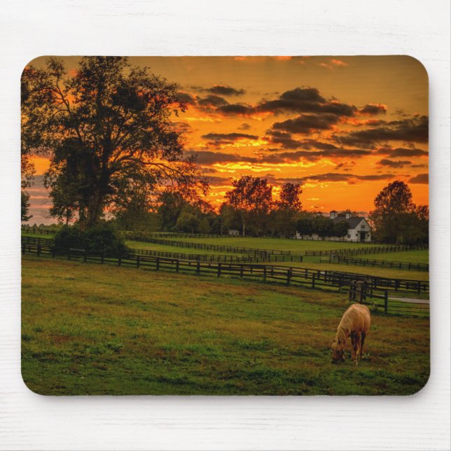 Lone horse at sunset mouse pad (Front)