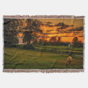 Lone horse at sunset throw blanket