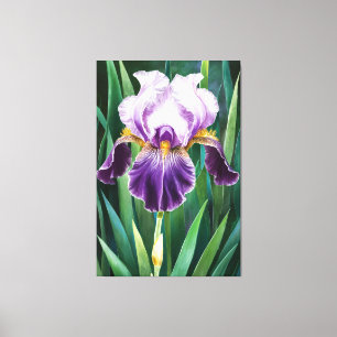 *~* Lone Iris  Flower Artsy Iris Painting AP84 Canvas Print