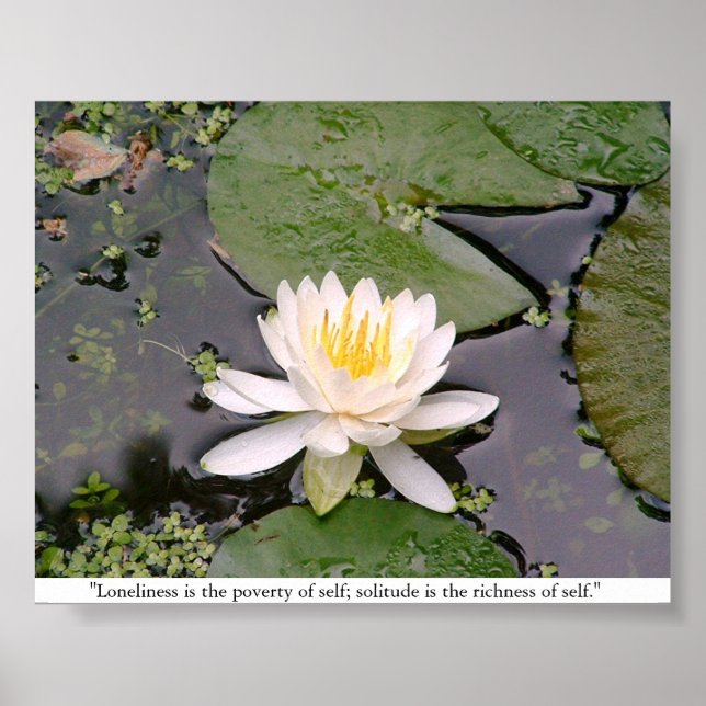 Lone Lily Poster with May Sarton Quote (Front)