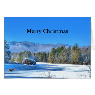 Lone Moose on Robartwood Pond - Christmas Card