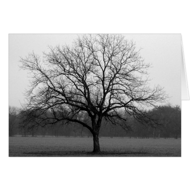 Lone Oak (Front Horizontal)