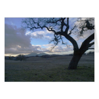 Lone Oak overlooking Mt. Diablo in Winter