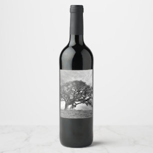 LONE OAK TREE WINE LABEL