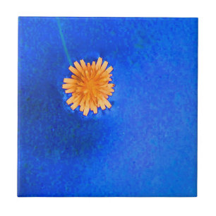 Lone Orange Flower Tile