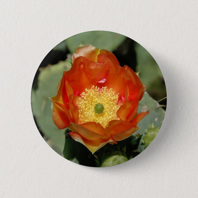 Lone Orange Prickly Pear 2 Inch Round Button (Front)