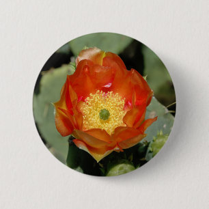 Lone Orange Prickly Pear 2 Inch Round Button