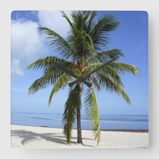 Lone Palm Square Wall Clock (Front)