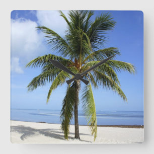 Lone Palm Square Wall Clock