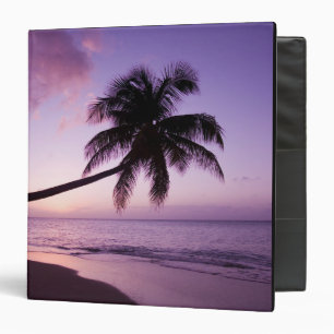 Lone palm tree at sunset, Coconut Grove beach 2 Binder