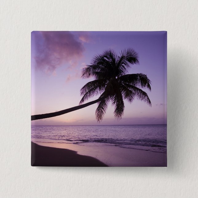 Lone palm tree at sunset, Coconut Grove beach 2 Inch Square Button (Front)